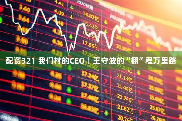配资321 我们村的CEO丨王守波的“棚”程万里路