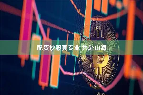 配资炒股真专业 共赴山海