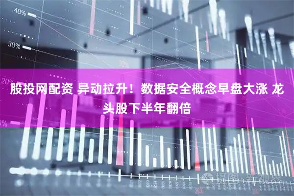 股投网配资 异动拉升！数据安全概念早盘大涨 龙头股下半年翻倍